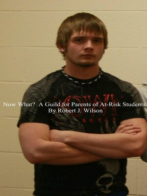 cover image of Now What?  a Guide for Parents of At-Risk High School Students